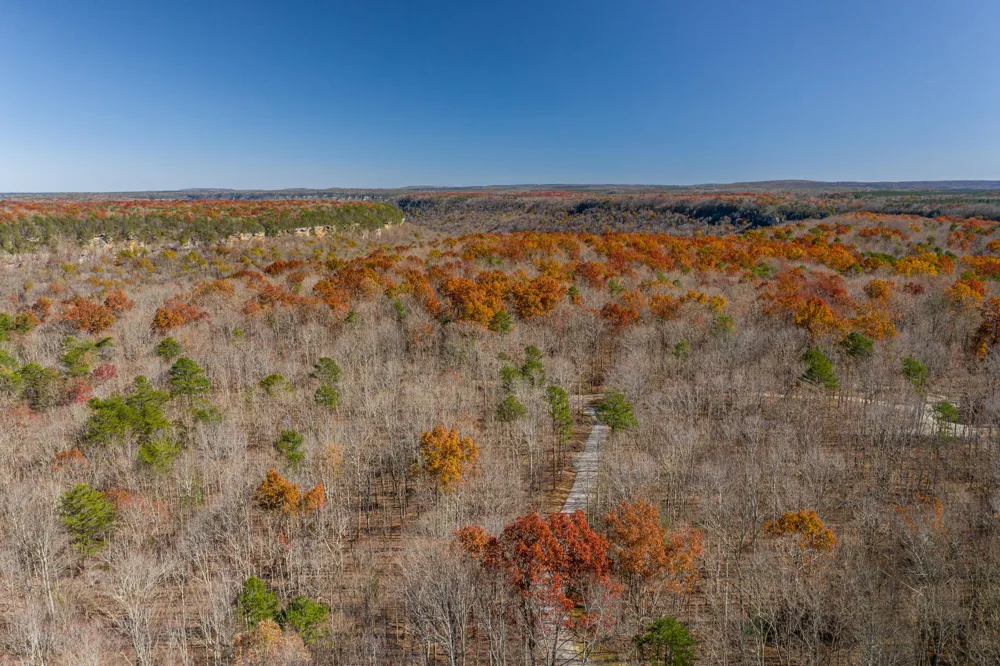916 Rim Drive Coalmont, TN 37313