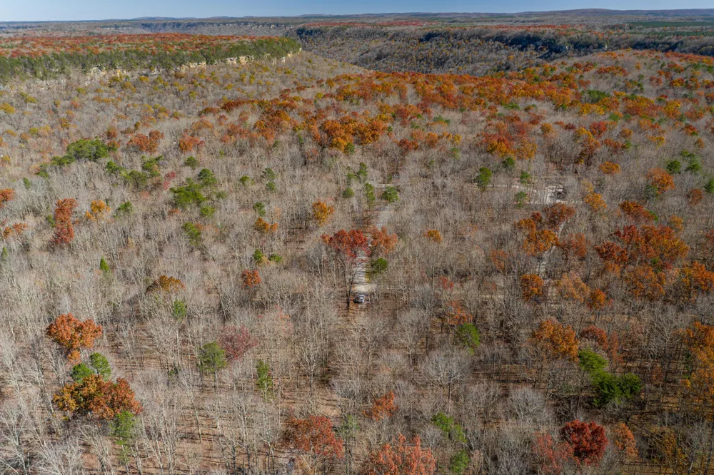 916 Rim Drive Coalmont, TN 37313