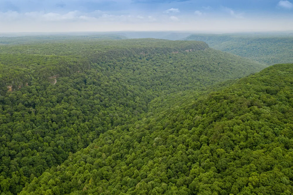 916 Rim Drive Coalmont, TN 37313
