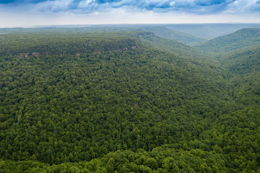 916 Rim Drive Coalmont, TN 37313