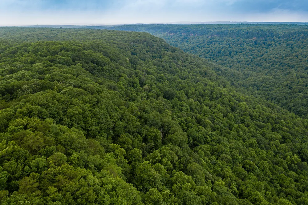 916 Rim Drive Coalmont, TN 37313