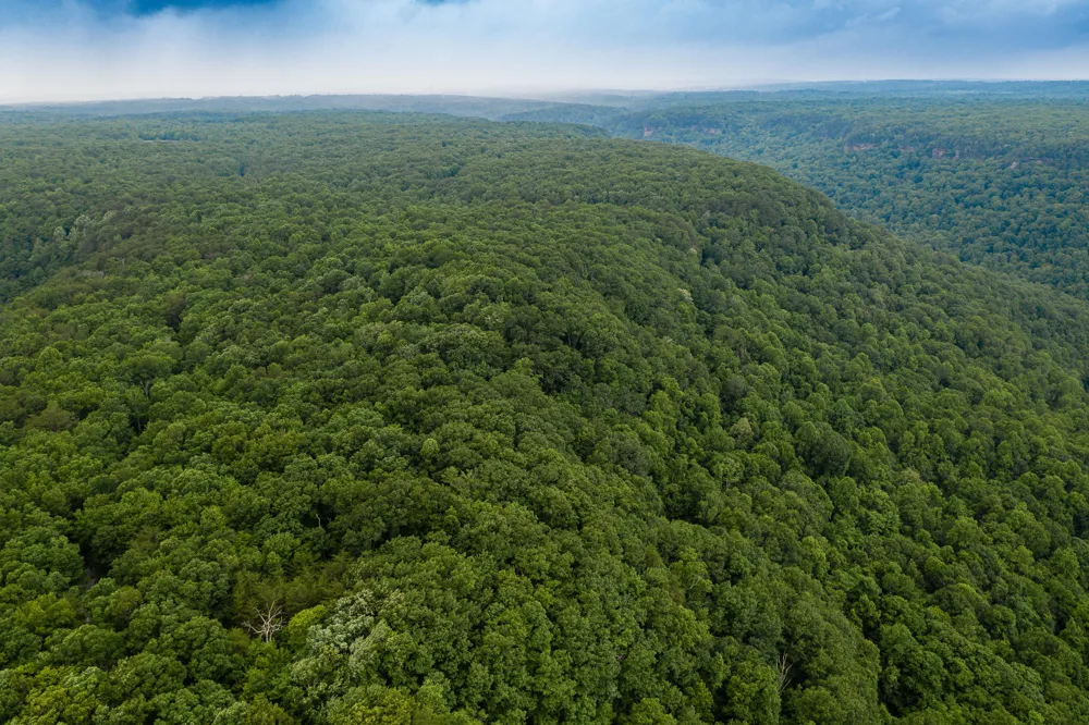 916 Rim Drive Coalmont, TN 37313