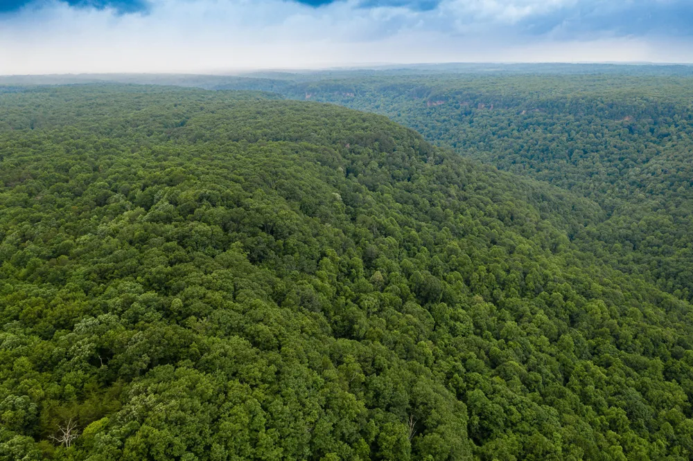 916 Rim Drive Coalmont, TN 37313