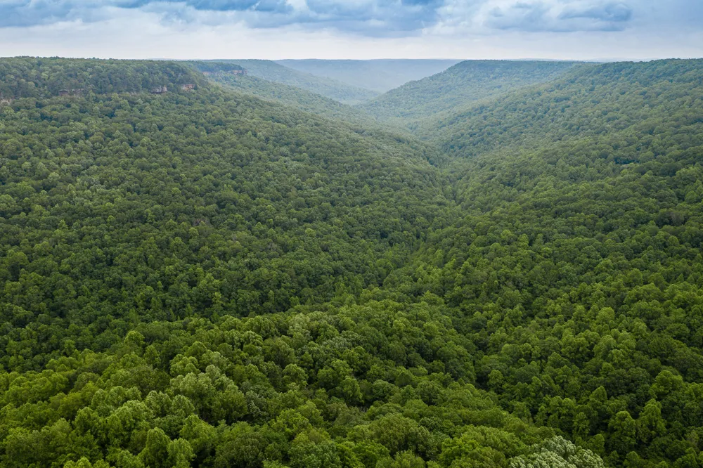 916 Rim Drive Coalmont, TN 37313
