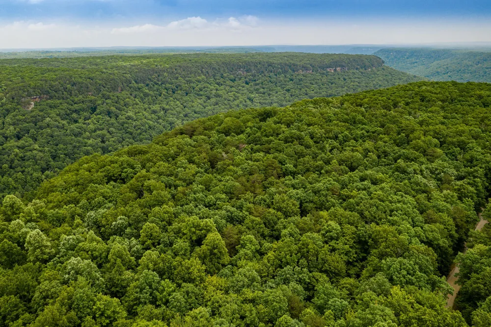 916 Rim Drive Coalmont, TN 37313