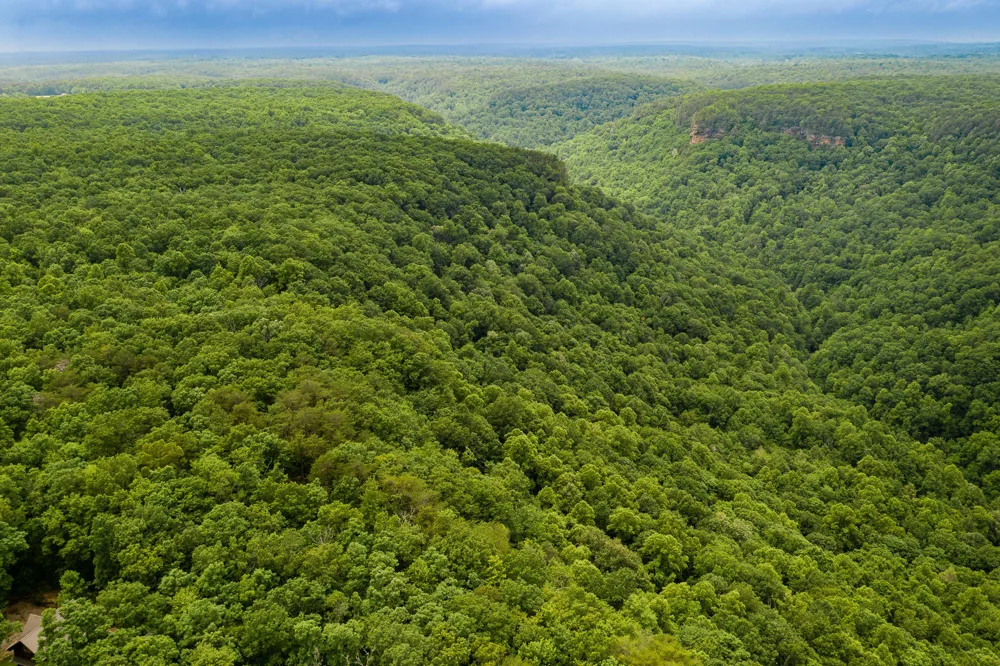 916 Rim Drive Coalmont, TN 37313