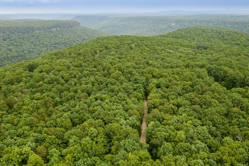 916 Rim Drive Coalmont, TN 37313