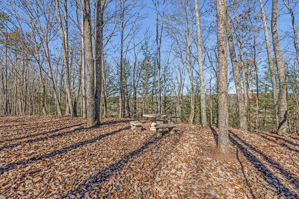 916 Rim Drive Coalmont, TN 37313