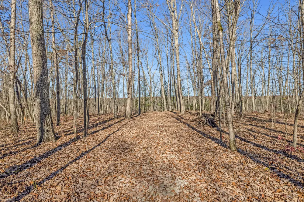 916 Rim Drive Coalmont, TN 37313