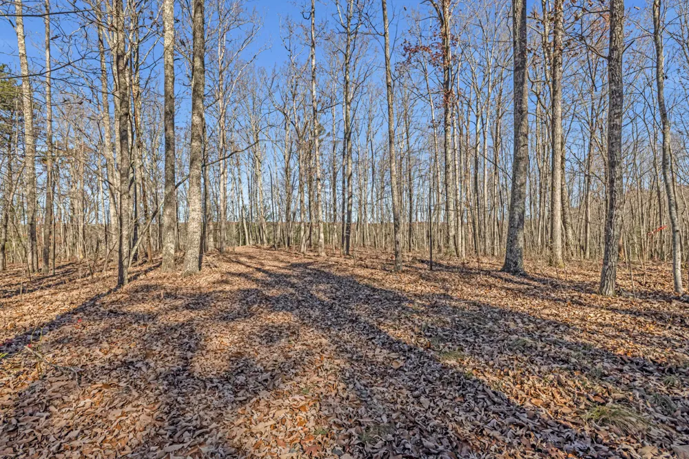 916 Rim Drive Coalmont, TN 37313