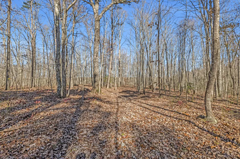 916 Rim Drive Coalmont, TN 37313