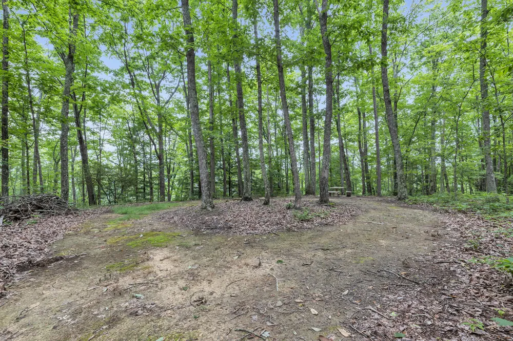 916 Rim Drive Coalmont, TN 37313