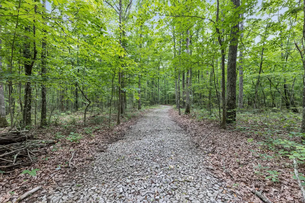 916 Rim Drive Coalmont, TN 37313
