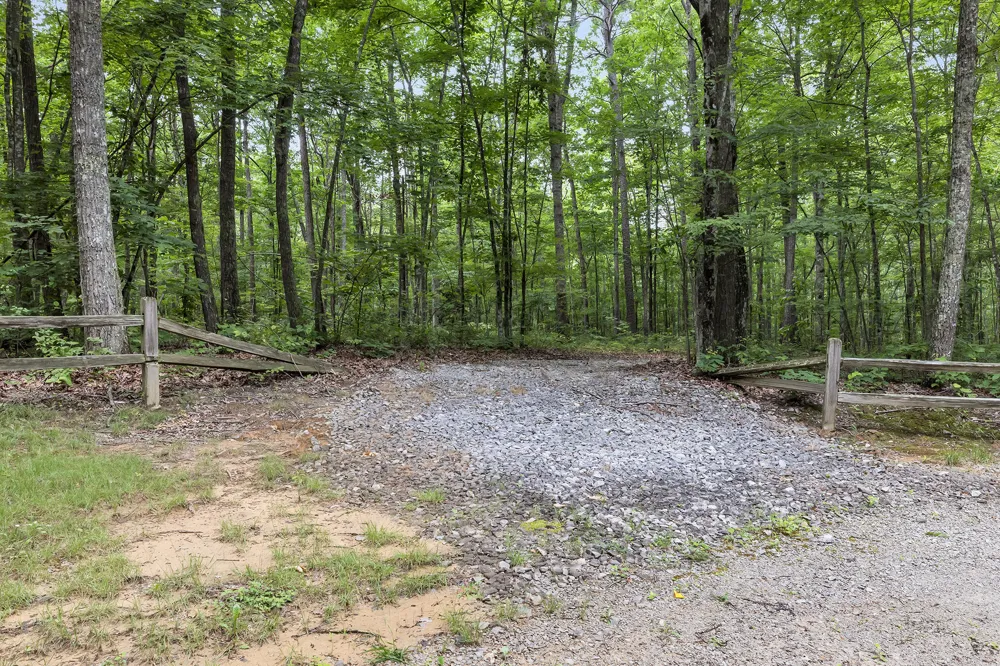 916 Rim Drive Coalmont, TN 37313