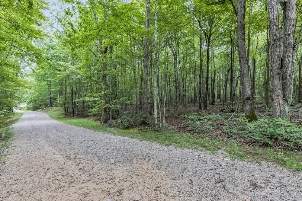 916 Rim Drive Coalmont, TN 37313