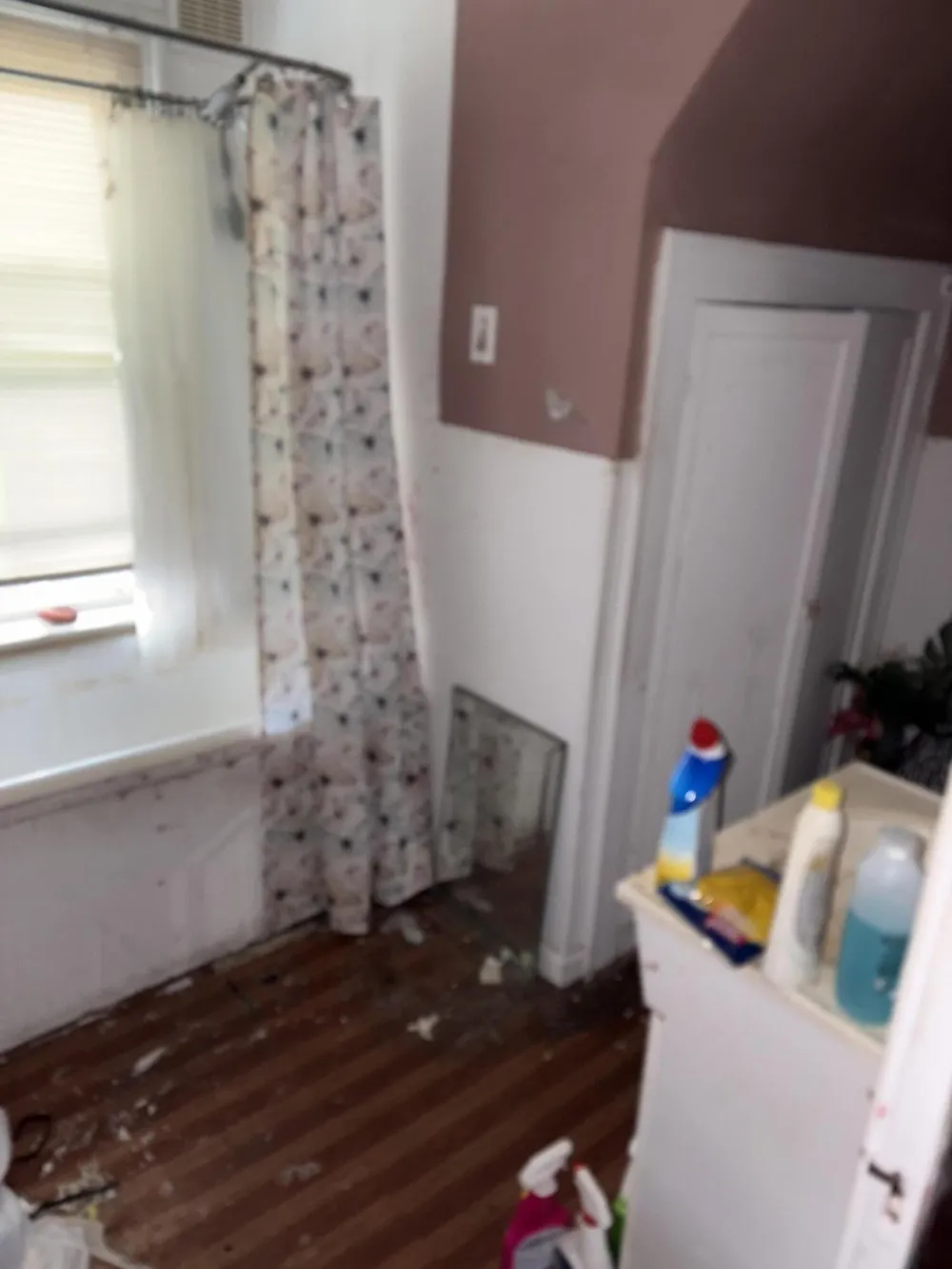 1810 Lindbergh Street Wyandotte City, MI 48192