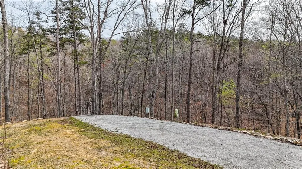 0 Felton Rockmart Road Buchanan, GA 30113