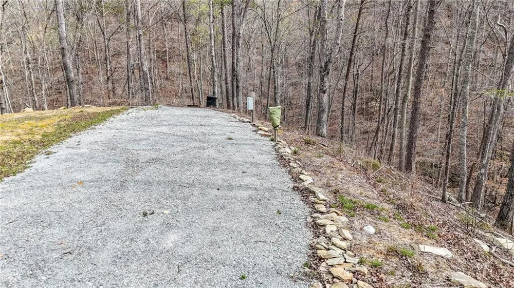 0 Felton Rockmart Road Buchanan, GA 30113
