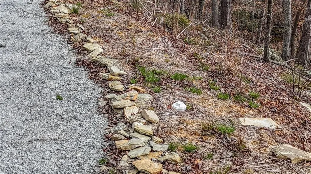 0 Felton Rockmart Road Buchanan, GA 30113
