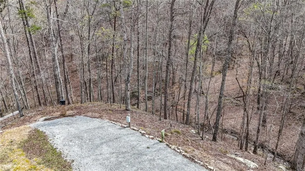 0 Felton Rockmart Road Buchanan, GA 30113