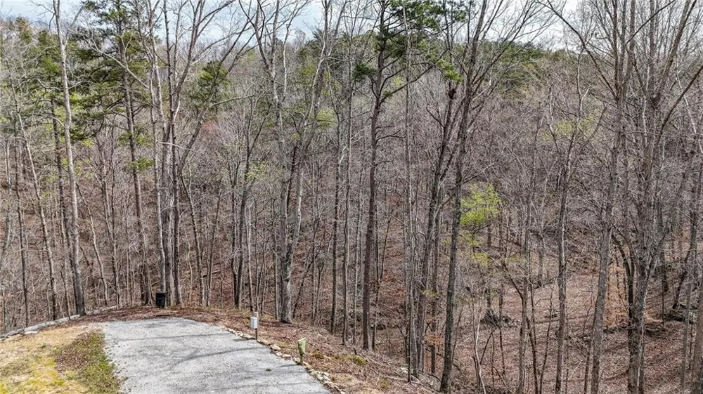 0 Felton Rockmart Road Buchanan, GA 30113