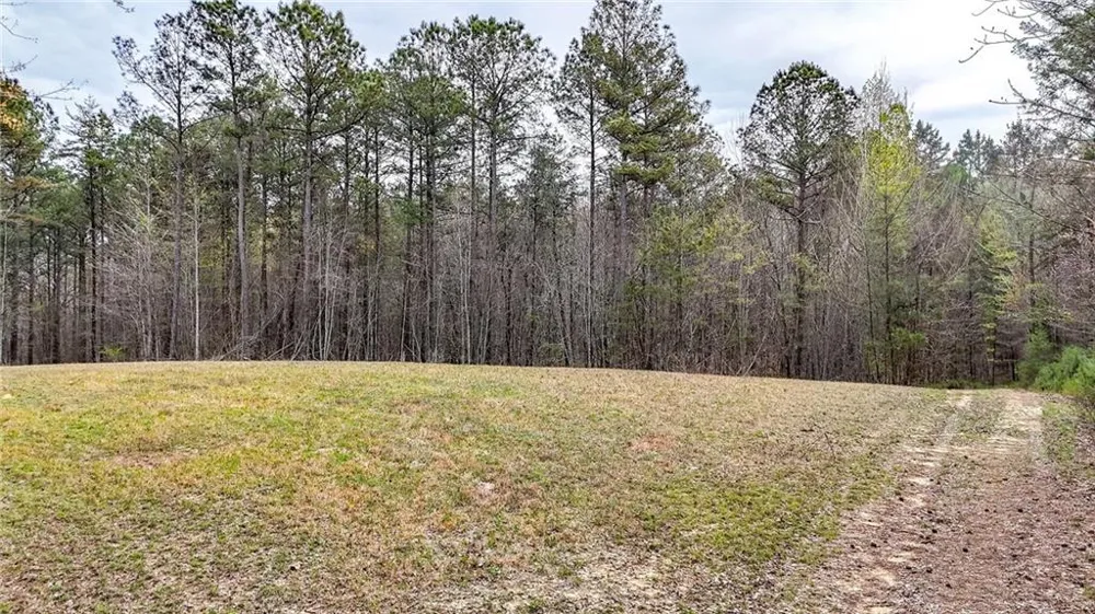0 Felton Rockmart Road Buchanan, GA 30113