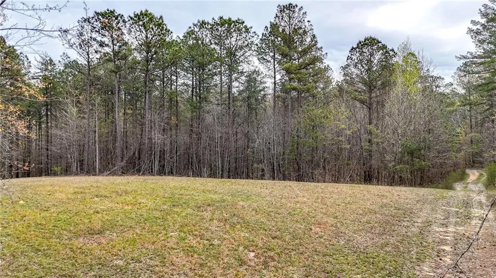 0 Felton Rockmart Road Buchanan, GA 30113
