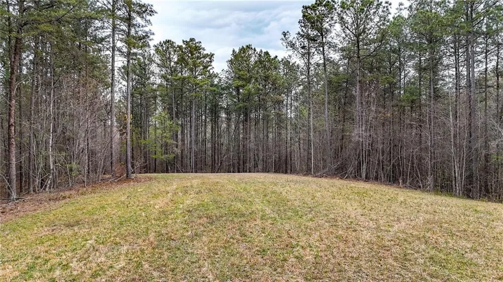 0 Felton Rockmart Road Buchanan, GA 30113