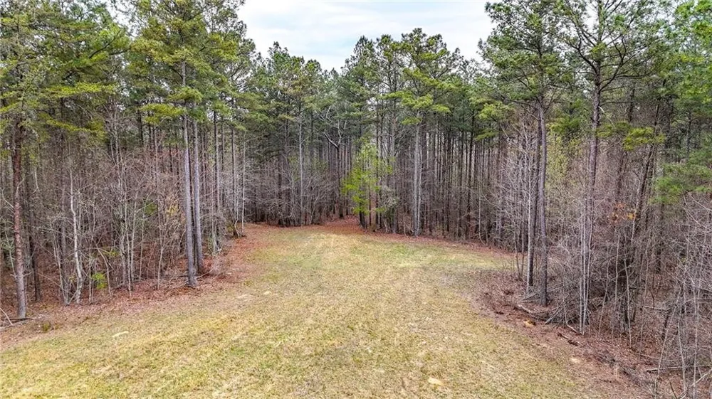 0 Felton Rockmart Road Buchanan, GA 30113