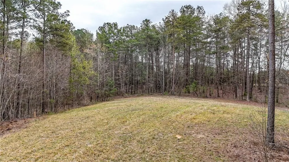 0 Felton Rockmart Road Buchanan, GA 30113