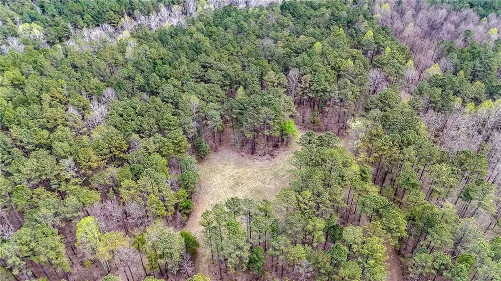0 Felton Rockmart Road Buchanan, GA 30113
