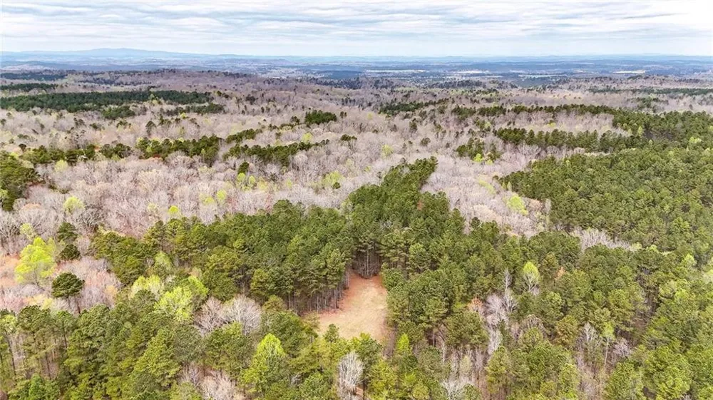 0 Felton Rockmart Road Buchanan, GA 30113