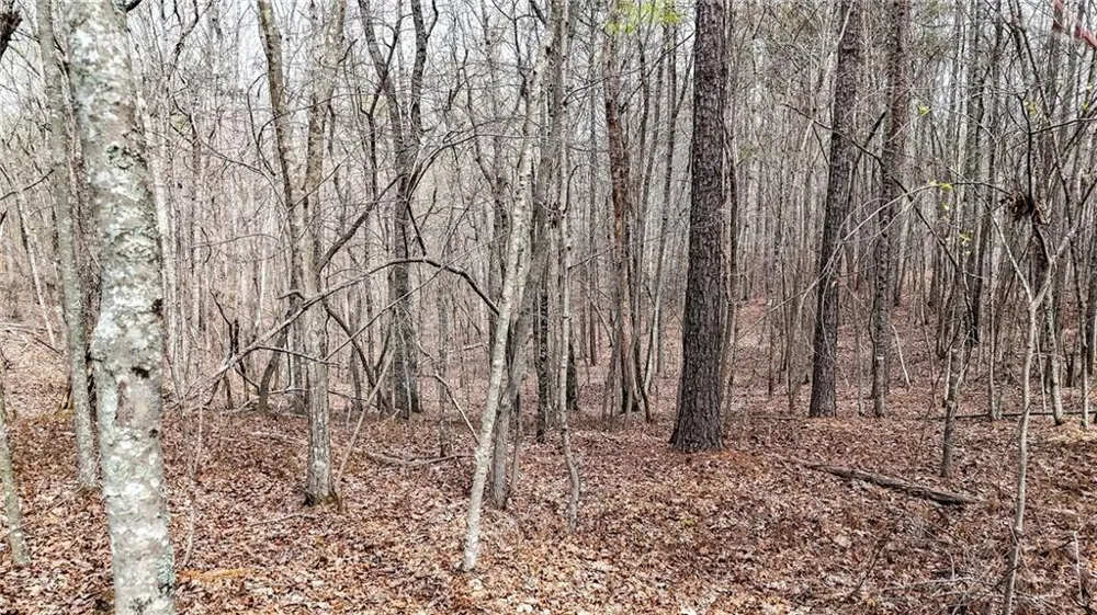 0 Felton Rockmart Road Buchanan, GA 30113