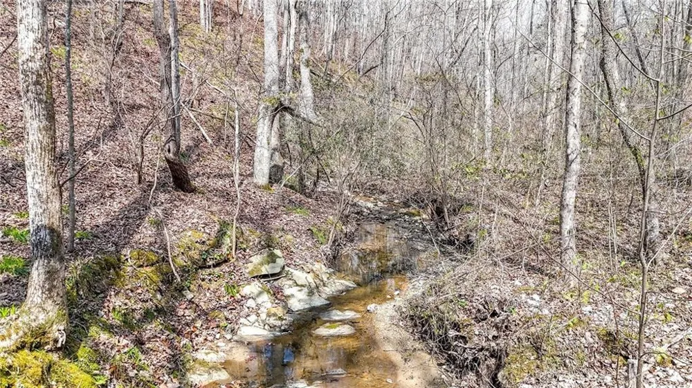 0 Felton Rockmart Road Buchanan, GA 30113