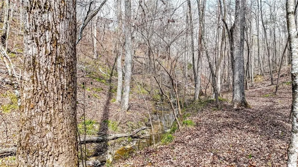 0 Felton Rockmart Road Buchanan, GA 30113