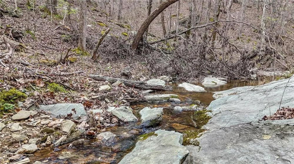 0 Felton Rockmart Road Buchanan, GA 30113