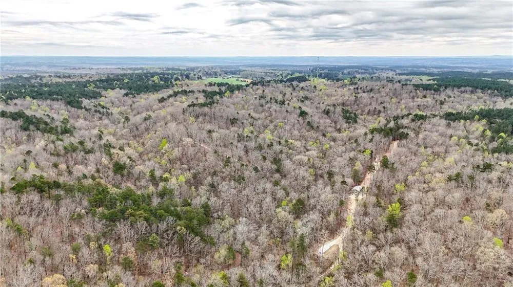 0 Felton Rockmart Road Buchanan, GA 30113