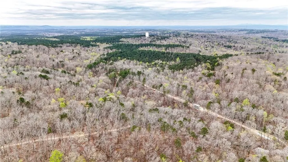 0 Felton Rockmart Road Buchanan, GA 30113