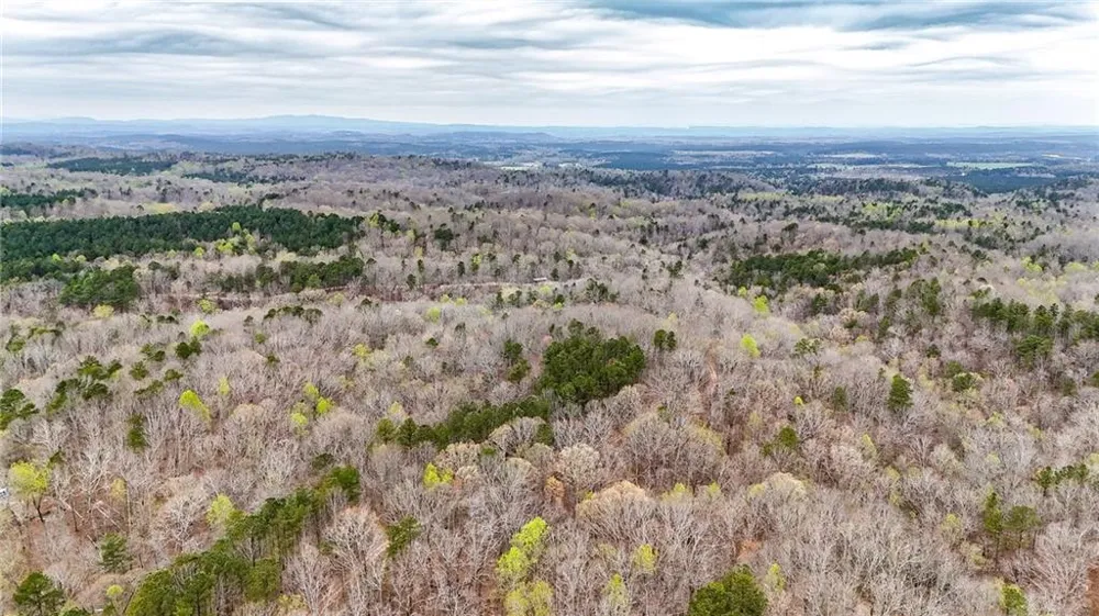 0 Felton Rockmart Road Buchanan, GA 30113