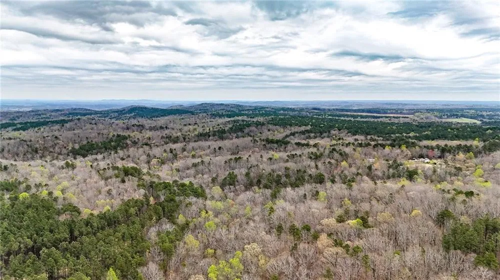 0 Felton Rockmart Road Buchanan, GA 30113