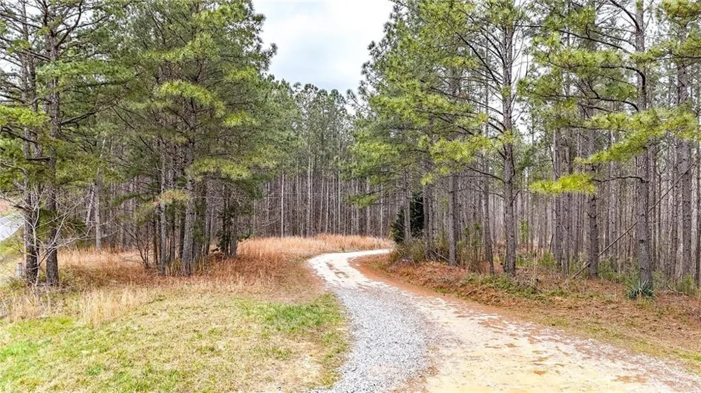 0 Felton Rockmart Road Buchanan, GA 30113