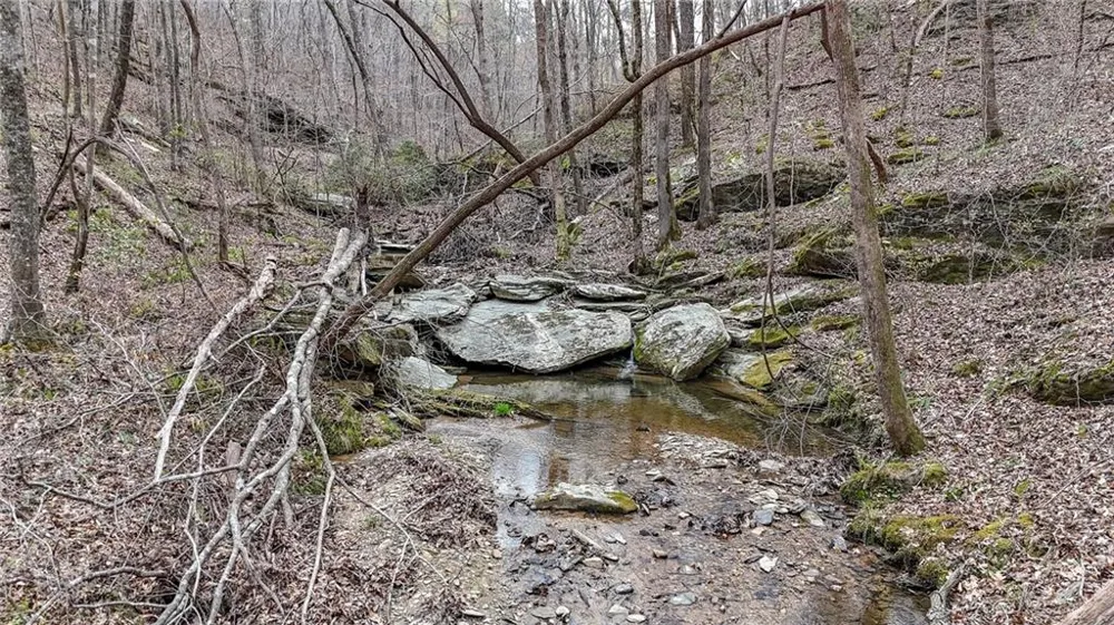 0 Felton Rockmart Road Buchanan, GA 30113