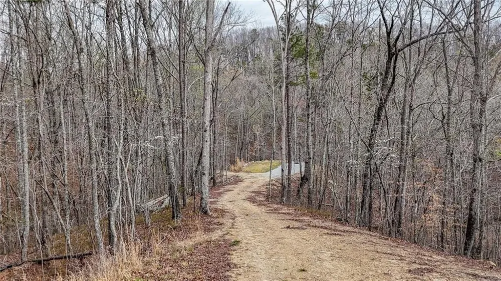 0 Felton Rockmart Road Buchanan, GA 30113