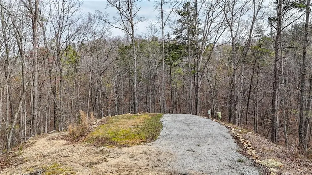 0 Felton Rockmart Road Buchanan, GA 30113