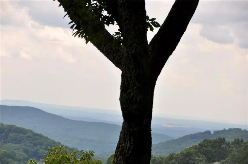 15 Wild Turkey Lane Big Canoe, GA 30143