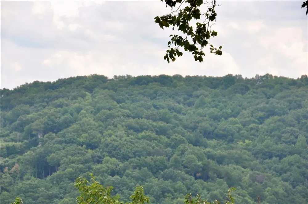 15 Wild Turkey Lane Big Canoe, GA 30143