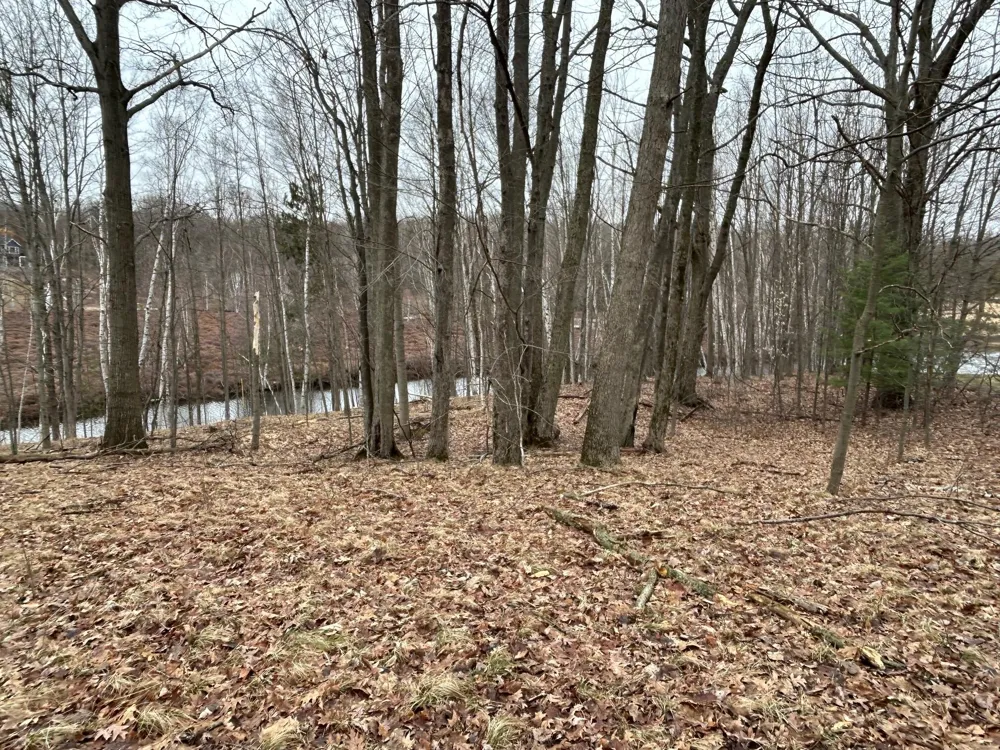 10910 Boxwood Drive ##247 Canadian Lakes, MI 49346