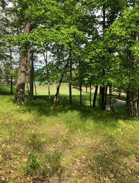 8975 Whispering Lane #234-235 Canadian Lakes, MI 49346