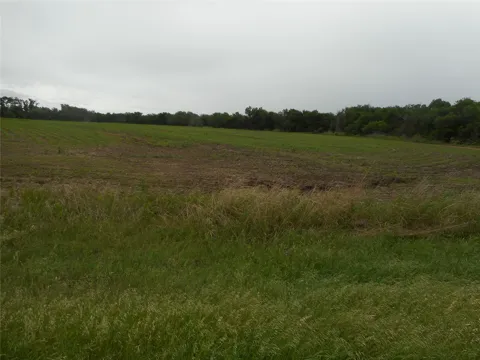 Fm 619 Road