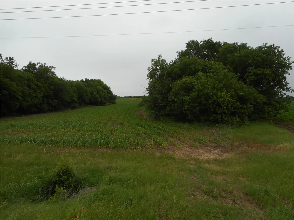 Fm 619 Road Taylor, TX 76574